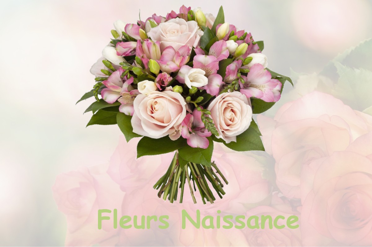 fleurs naissance PLAINE-DE-WALSCH