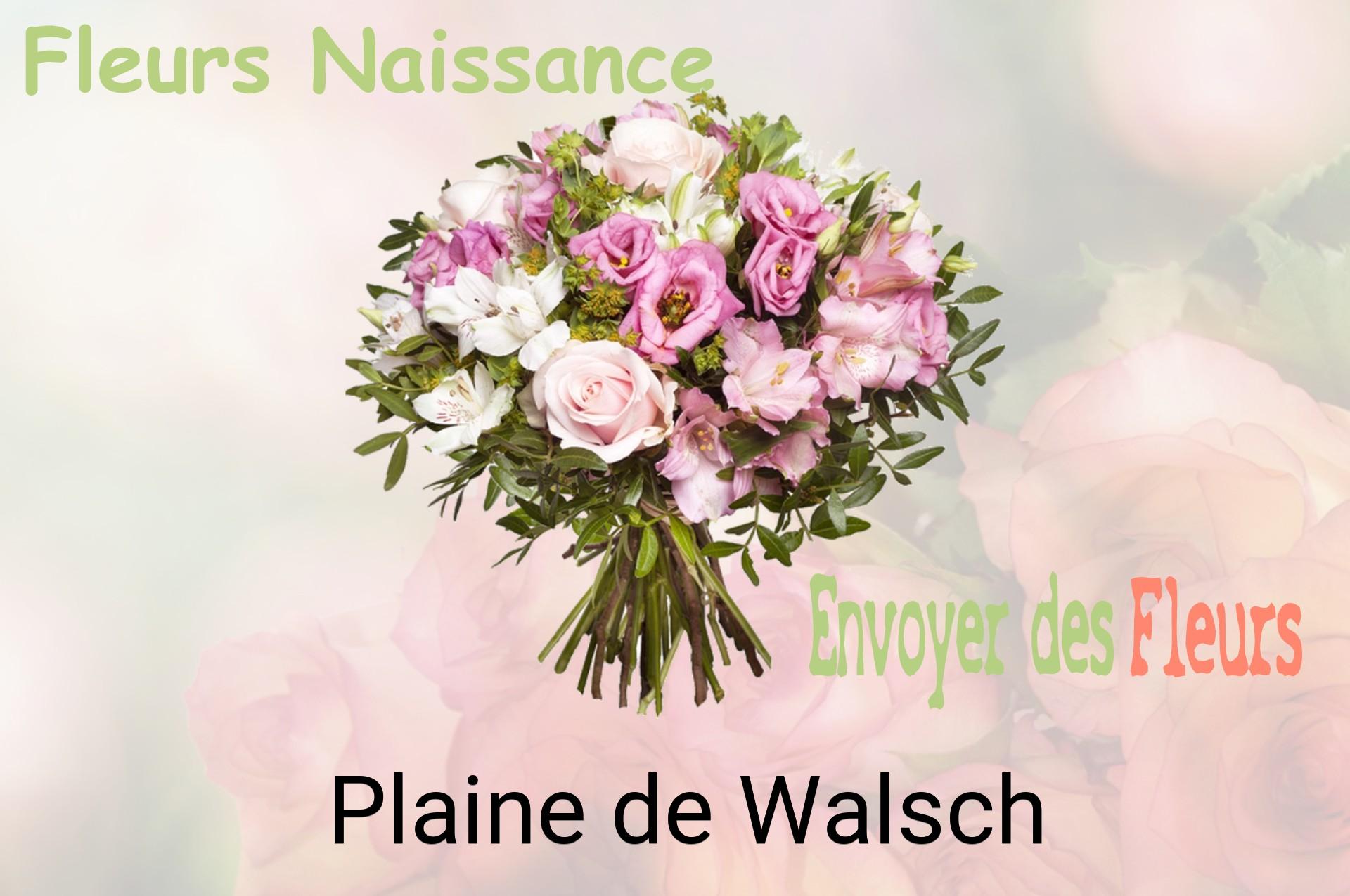Bouquet de fleurs de naissance livré à Plaine-de-Walsch